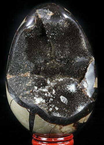 Septarian Dragon Egg Geode - Black Crystals #57341